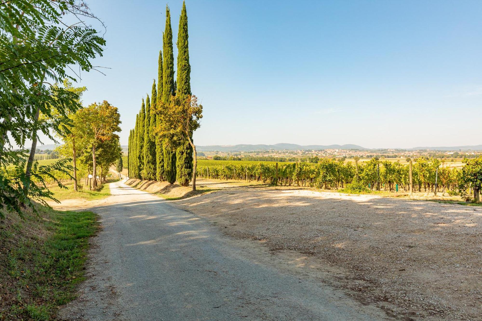 Vermentino Villa Montepulciano Bagian luar foto