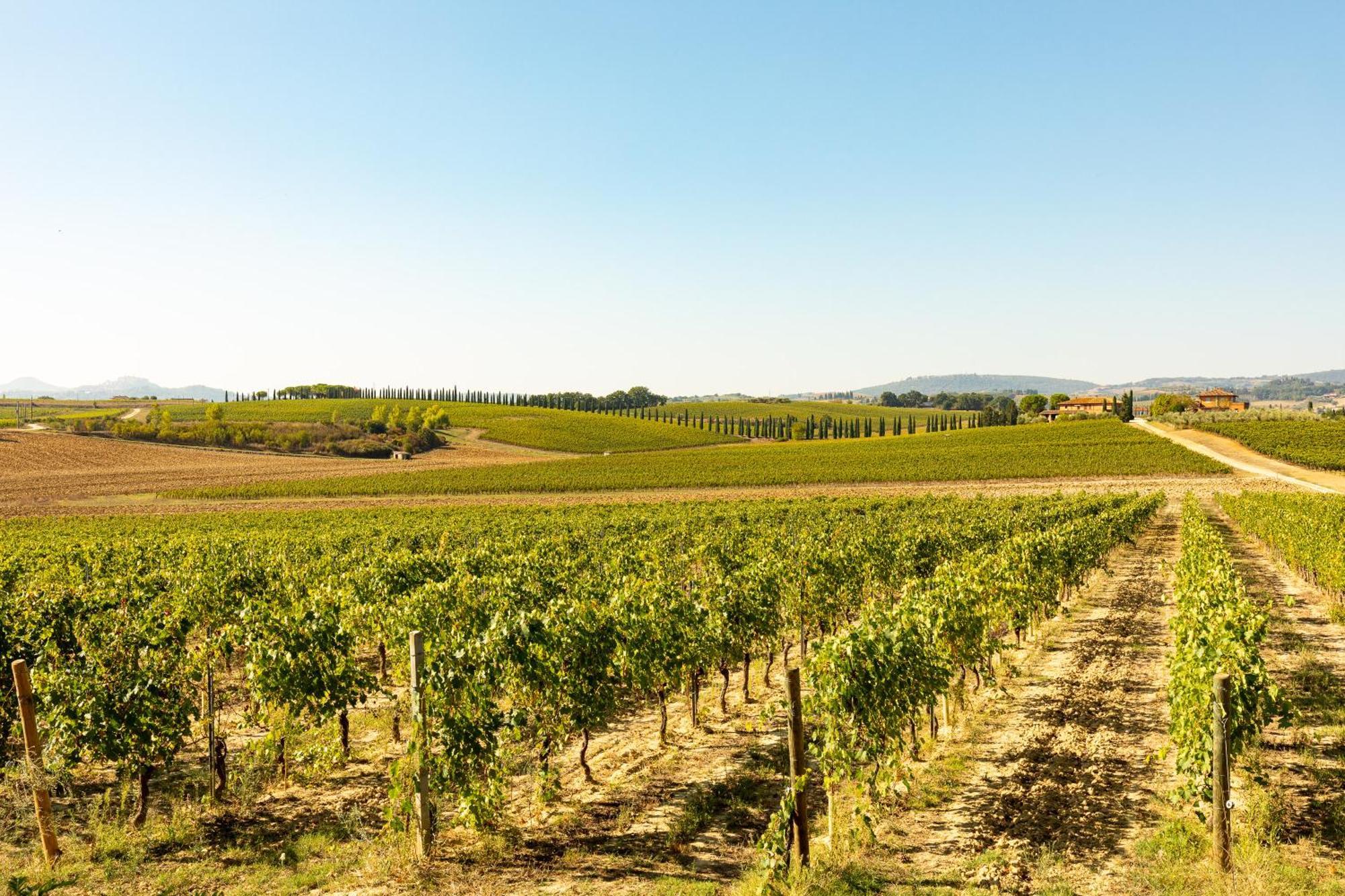 Vermentino Villa Montepulciano Bagian luar foto