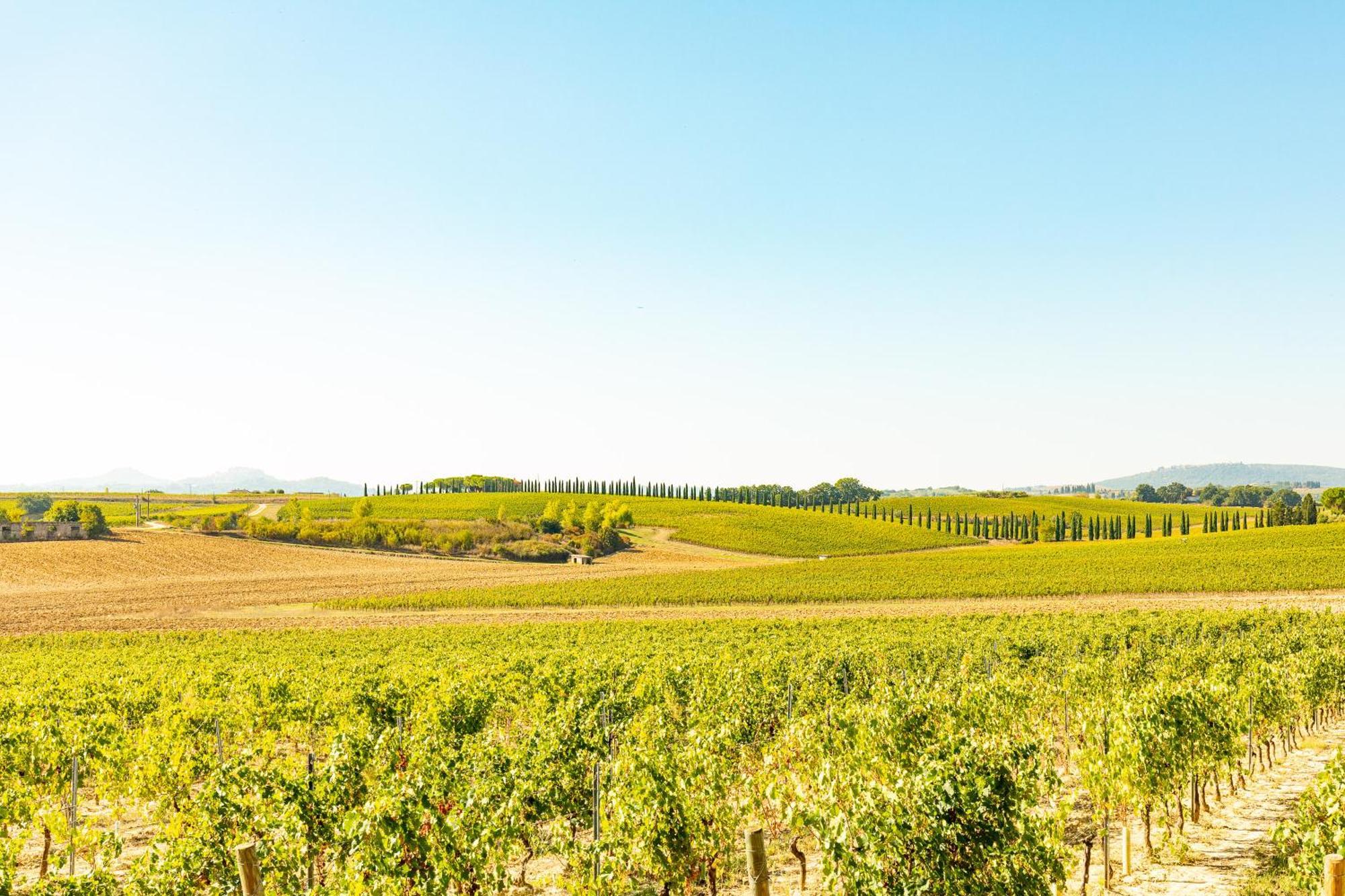 Vermentino Villa Montepulciano Bagian luar foto