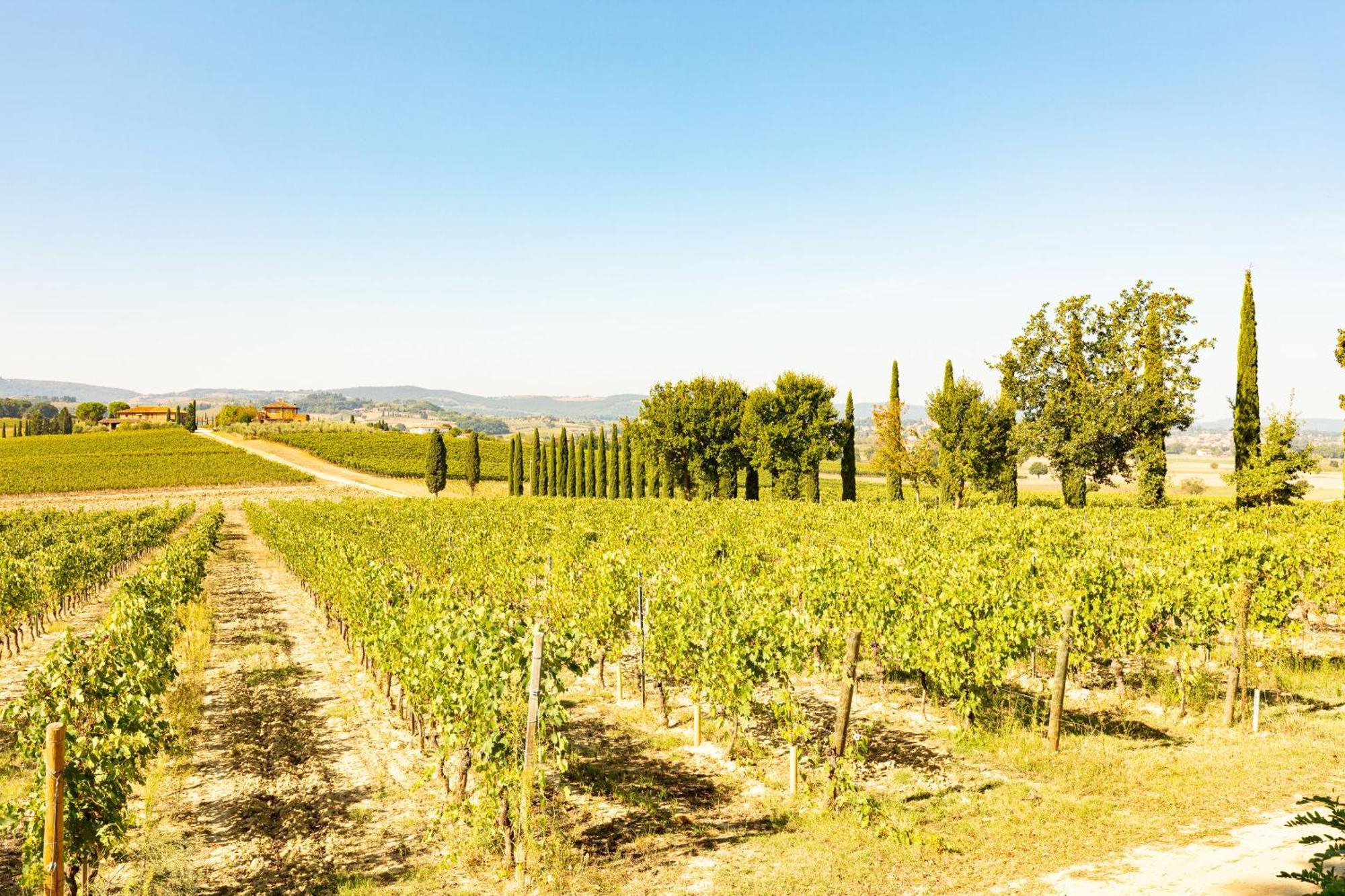 Vermentino Villa Montepulciano Bagian luar foto